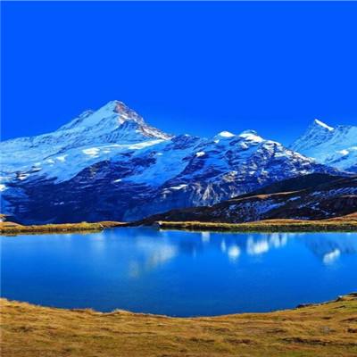 华体会登录手机app下载截图