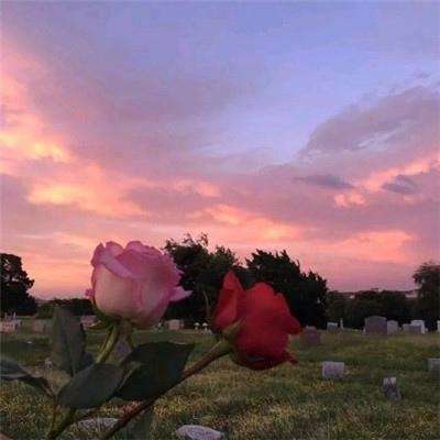 best365官网手机版手机app下载