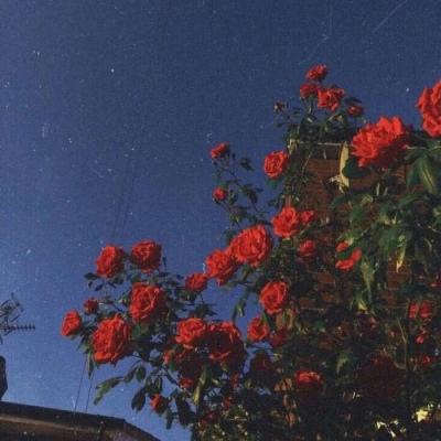 腾讯分分下载手机版